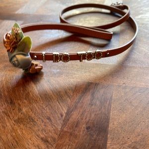 Wedding leash for dog.